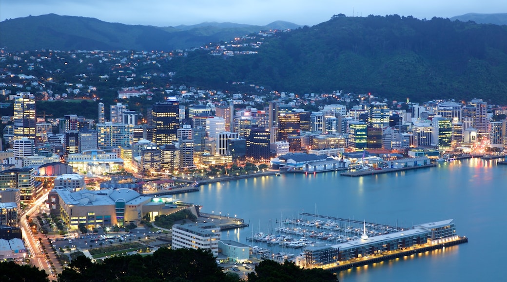 Mount Victoria Lookout showing night scenes, a bay or harbor and mountains