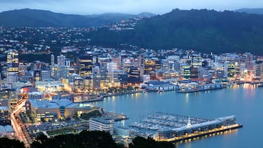 Mount Victoria Lookout showing night scenes, a bay or harbor and mountains