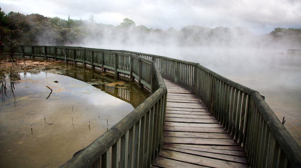 Kuirau Park inclusief mist of nevel en een warmwaterbron