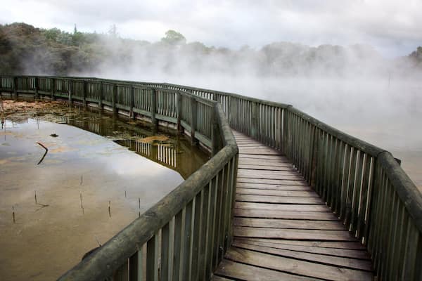Kuirau Park mettant en vedette source chaude et brume ou brouillard