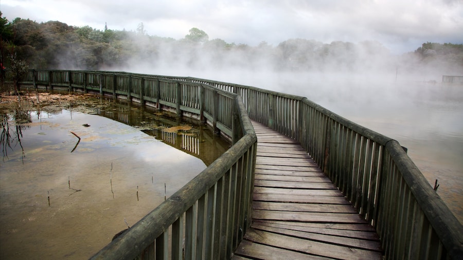 Kuirau Park showing a hot spring and mist or fog