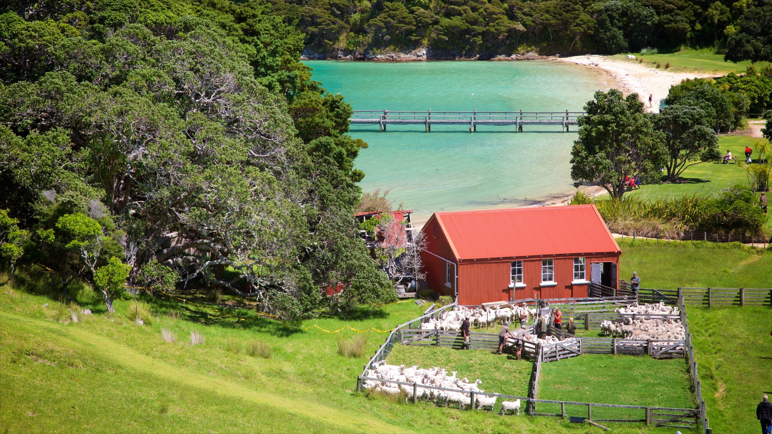 Russell showing farmland and a bay or harbour