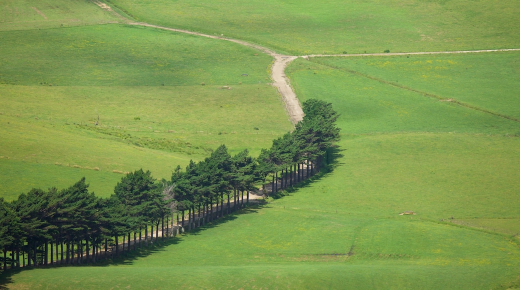 Mount Manaia showing tranquil scenes