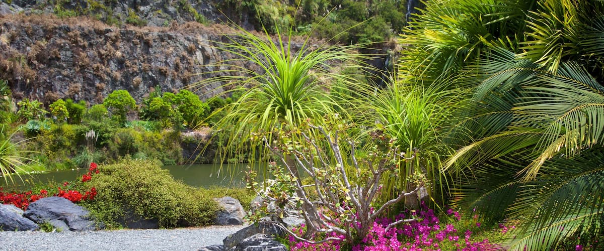 Whangarei Quarry Gardens showing a park