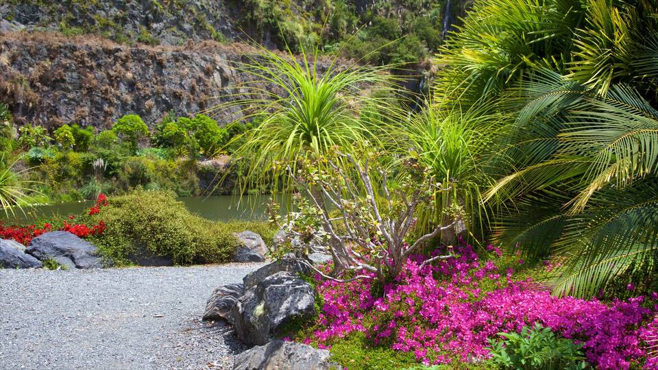 Whangarei Quarry Gardens