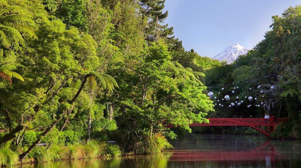 New Plymouth showing forest scenes, a bridge and a river or creek