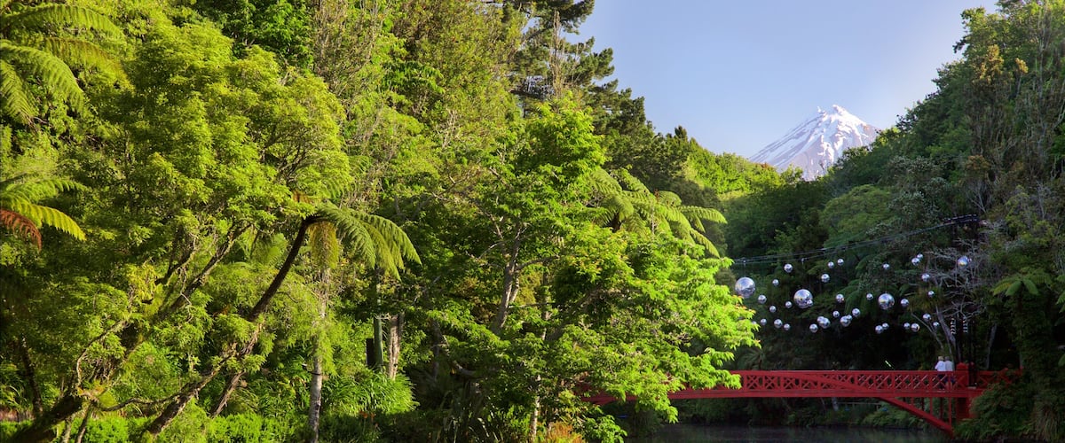 New Plymouth showing forest scenes, a river or creek and a bridge