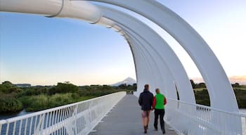 New Plymouth showing a bridge as well as a couple