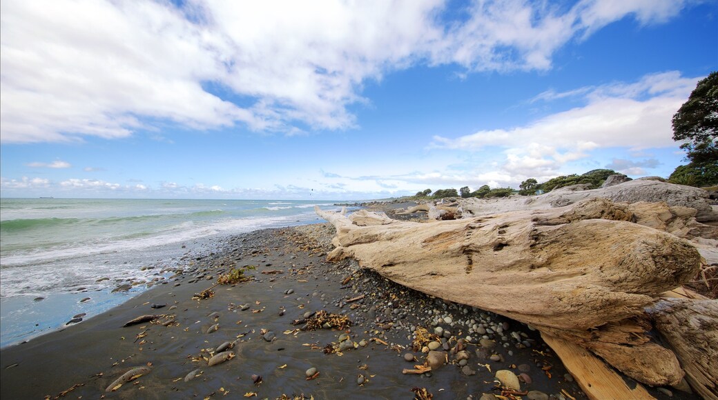 New Plymouth showing a sandy beach and a pebble beach