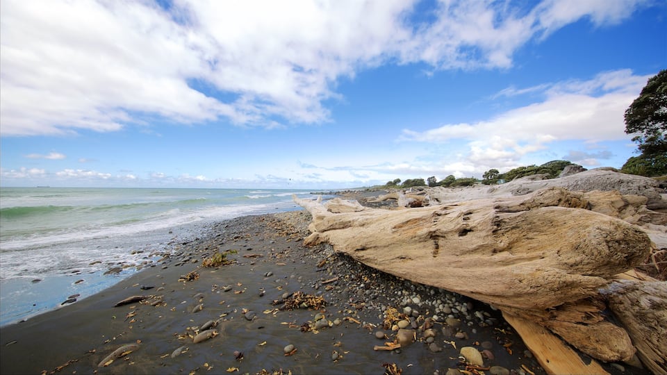 New Plymouth mettant en vedette plage de galets et plage