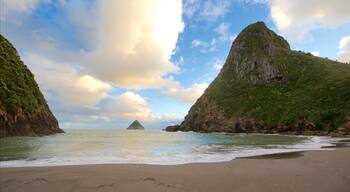 Paritutu Rock showing a bay or harbour, a beach and mountains