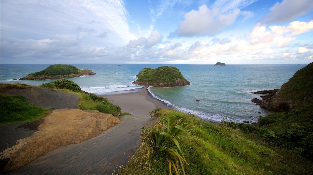 Sugar Loaf Marine Reserve showing island images and a bay or harbour