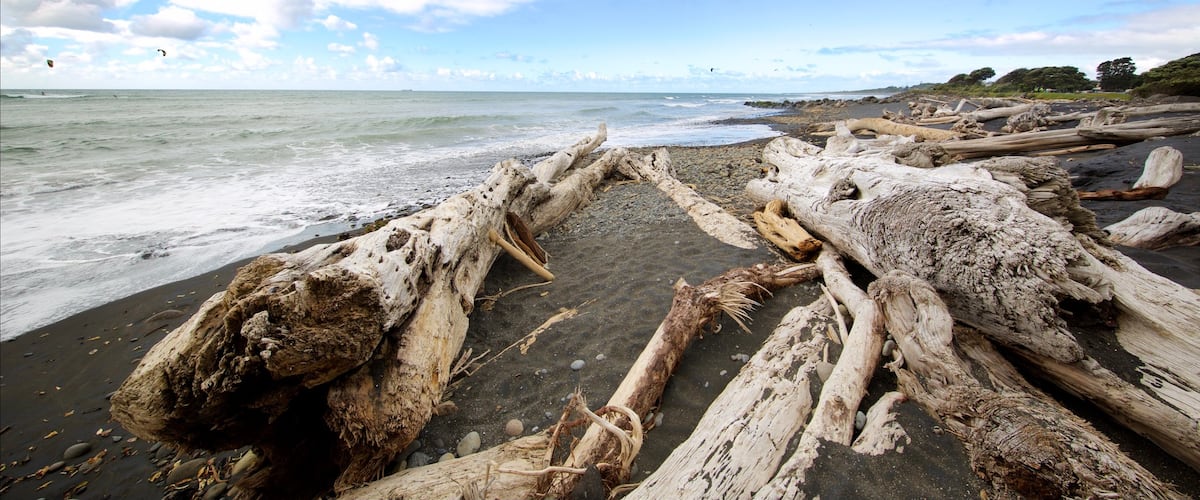 Taranaki showing a bay or harbour