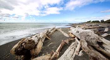 Taranaki som visar en hamn eller havsbukt