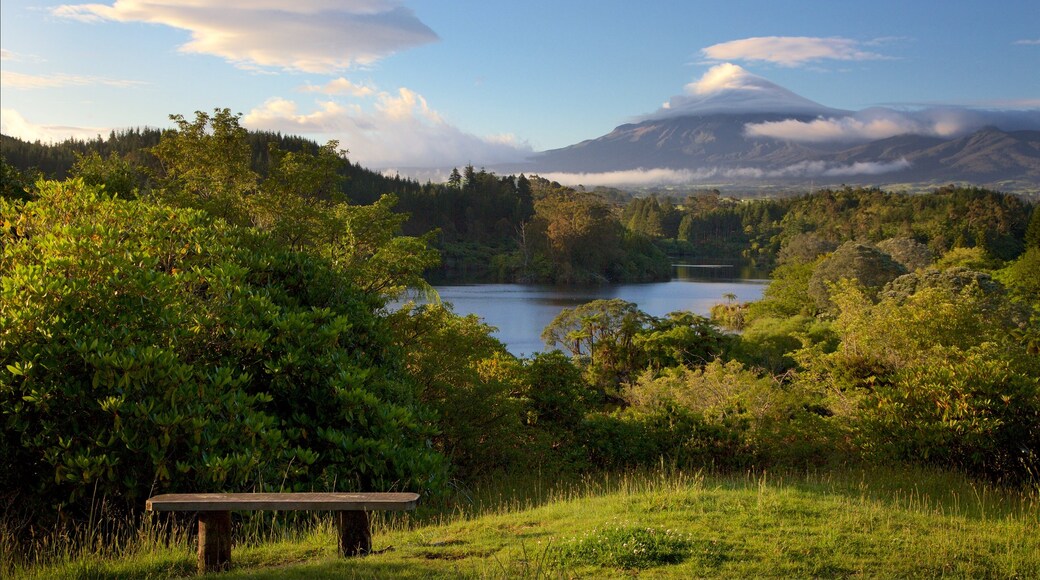 New Plymouth featuring a lake or waterhole, forests and mountains