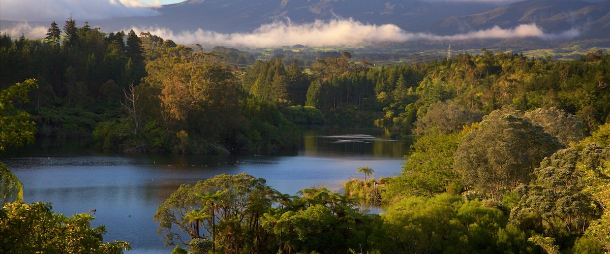 Taranaki featuring forests, mountains and a lake or waterhole