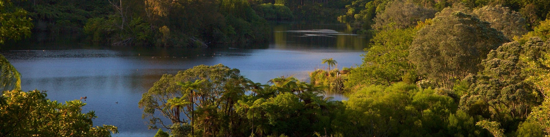 Taranaki which includes a lake or waterhole, forest scenes and mountains