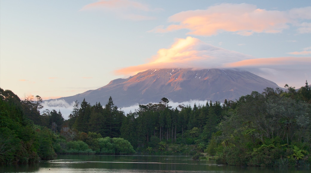 Nueva Plymouth mostrando bosques, un lago o espejo de agua y montañas