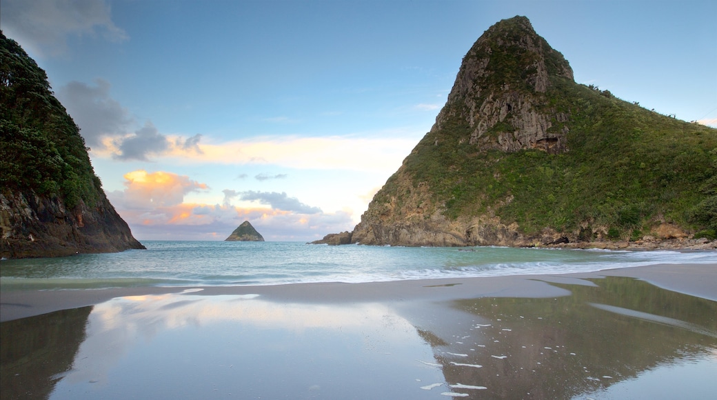 Taranaki showing island views, a bay or harbour and a sunset