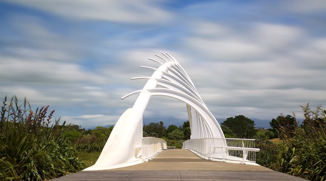 Taranaki which includes a bridge