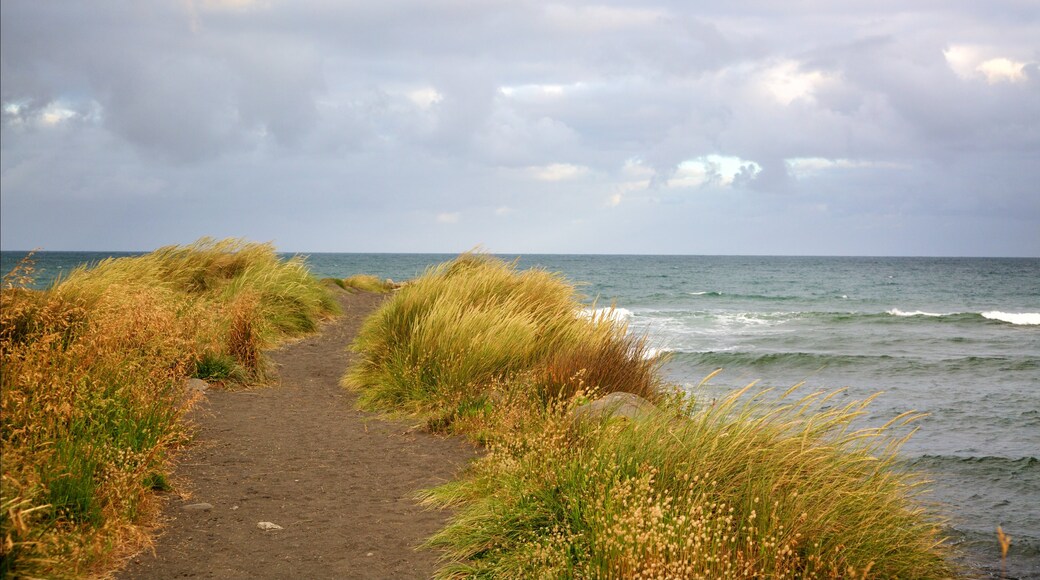 Fitzroy Beach mit einem Bucht oder Hafen und Wellen