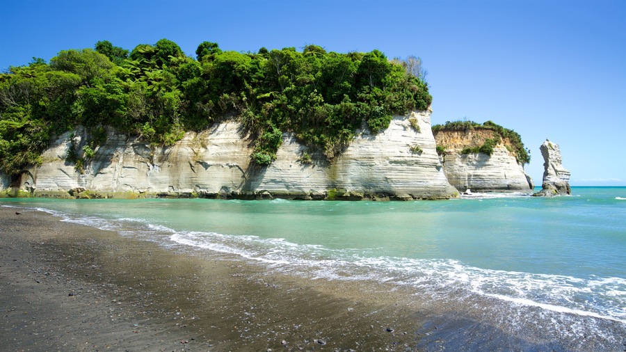 New Plymouth which includes rugged coastline and a bay or harbour