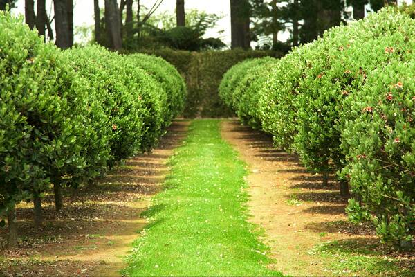 Sentry Hill Winery showing a park