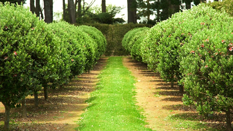 Sentry Hill Winery which includes a park