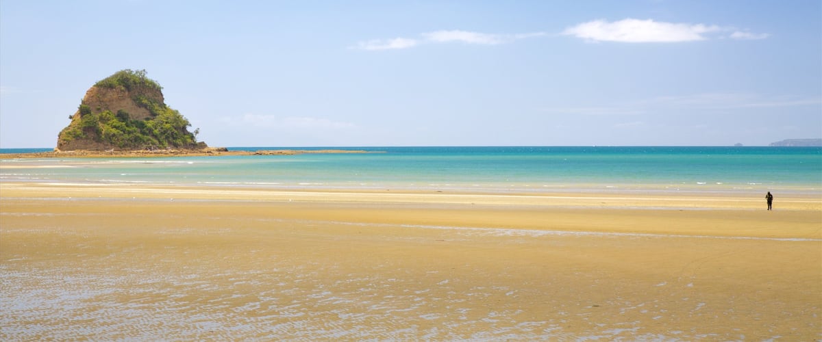 Waiwera featuring a bay or harbour and a beach