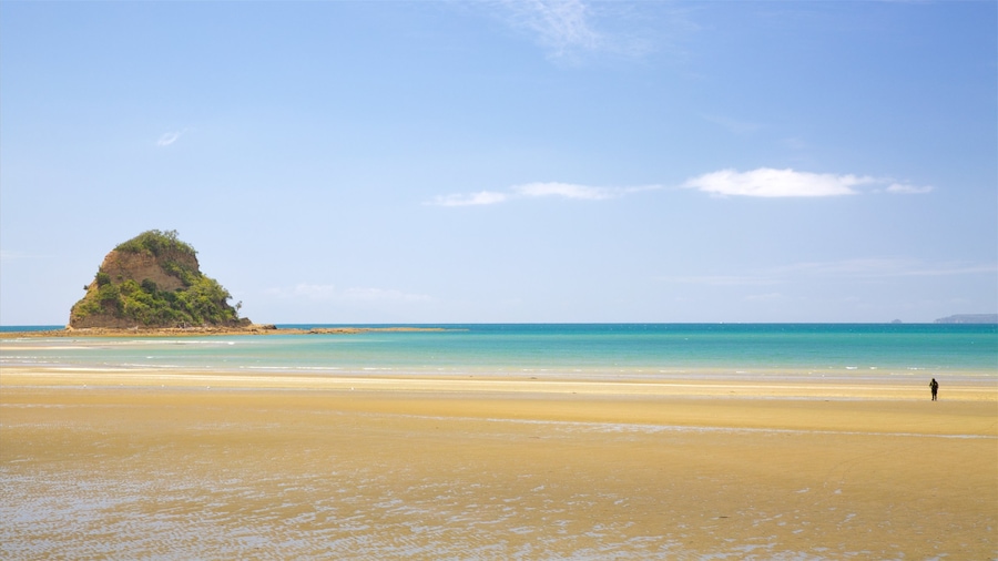 Waiwera which includes a beach and a bay or harbour