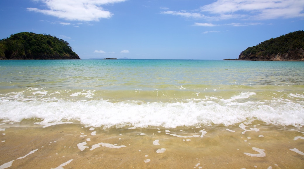 Tutukaka which includes a beach and a bay or harbour