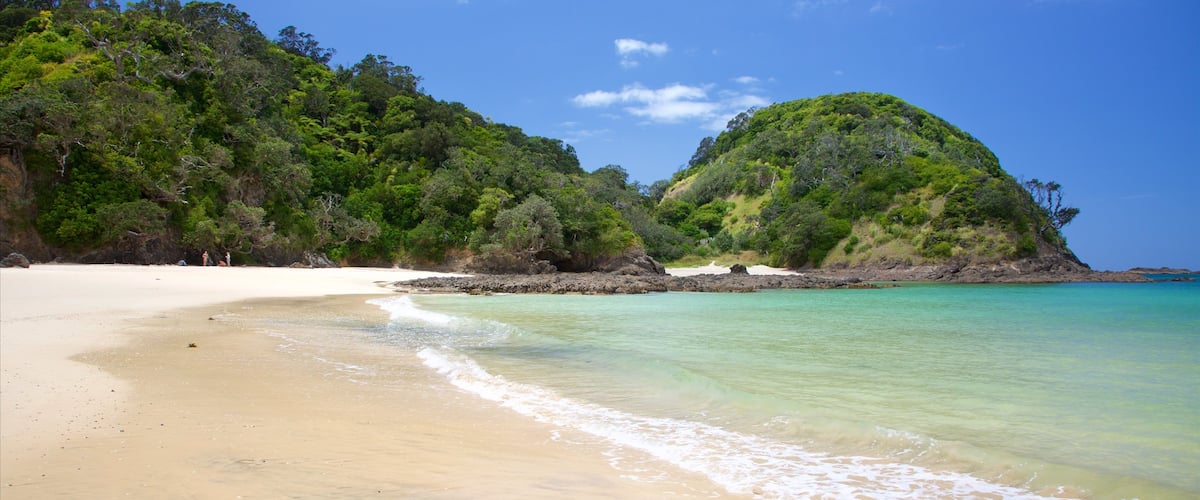 Tutukaka que incluye una playa de arena y una bahía o puerto