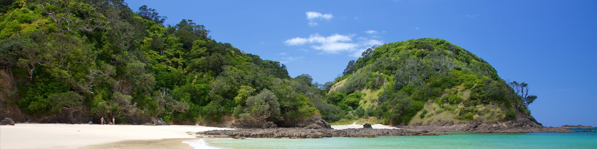 Tutukaka showing a sandy beach and a bay or harbor