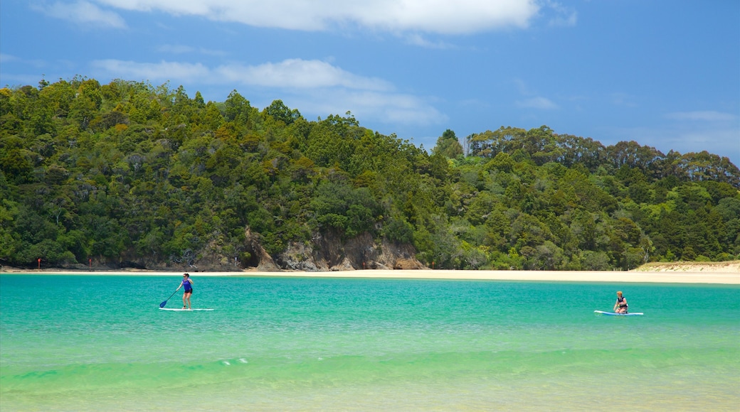 Tutukaka featuring a bay or harbour, water sports and a sandy beach