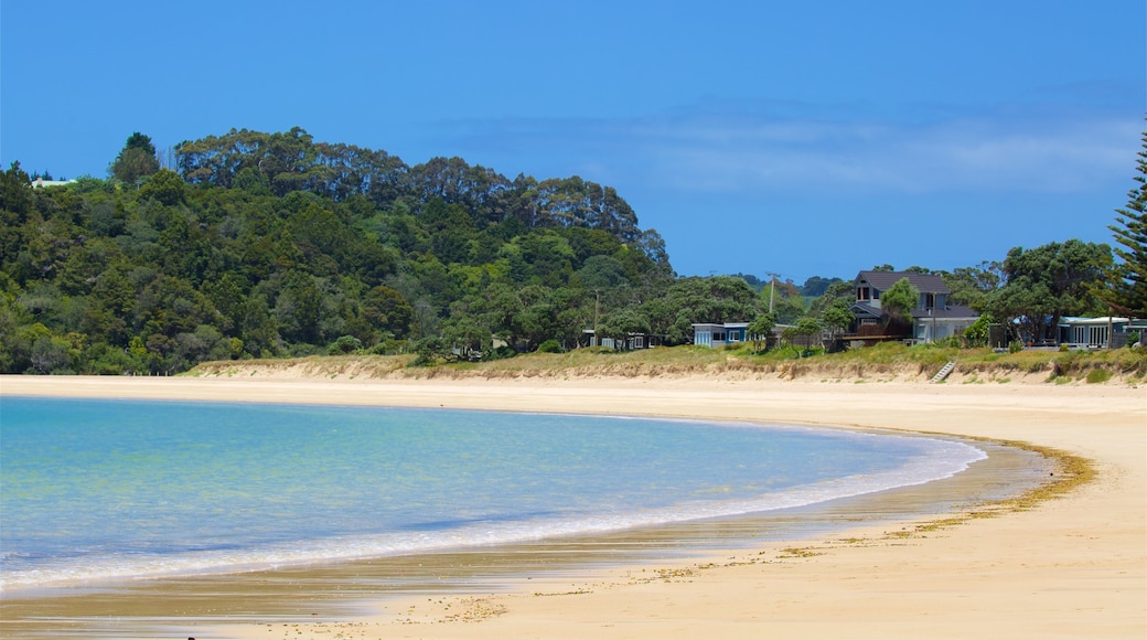 Tutukaka featuring a bay or harbour, a coastal town and a beach