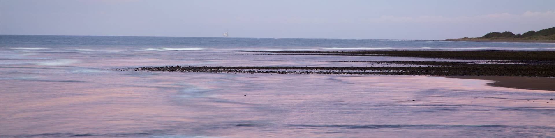 Fitzroy Beach qui includes coucher de soleil et baie ou port