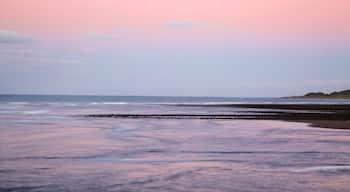 Fitzroy Beach showing a bay or harbour and a sunset