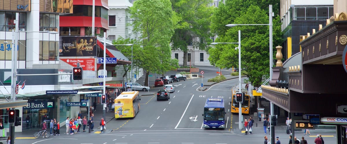 Auckland CBD showing cbd and street scenes