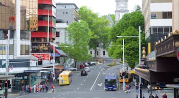 Auckland CBD presenterar affärsdistrikt och gatuliv