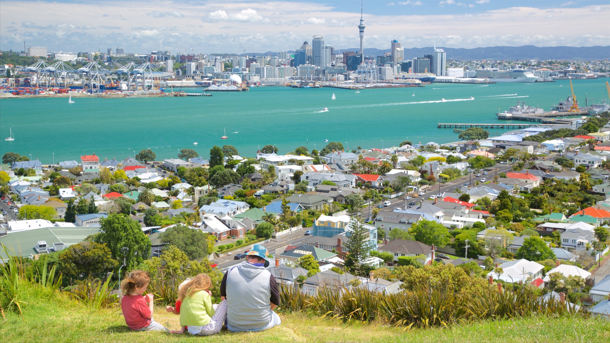 Mount Victoria showing a city, a bay or harbour and central business district