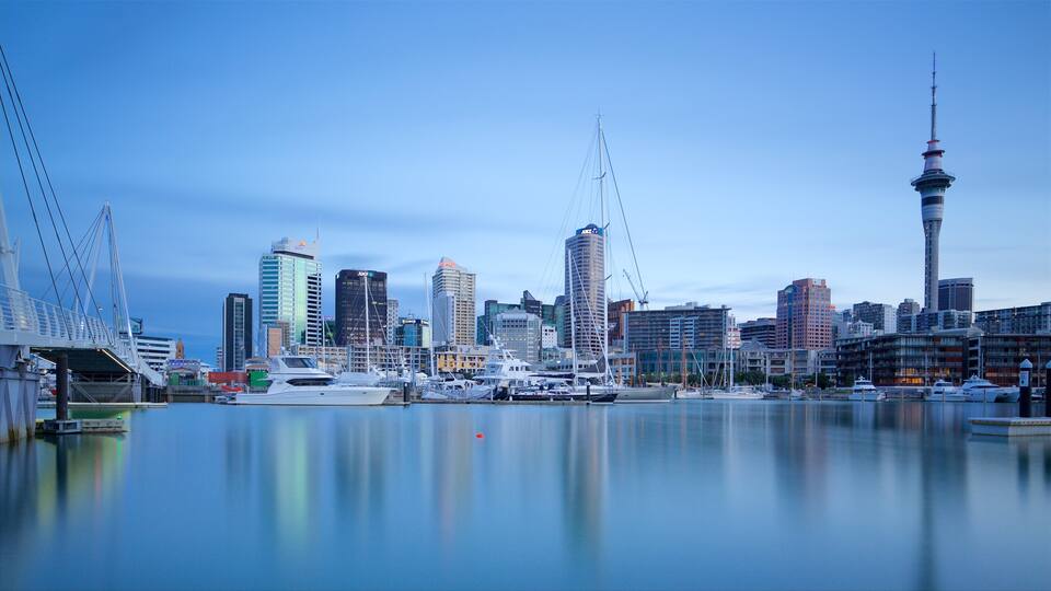Auckland showing a marina, a sunset and a city