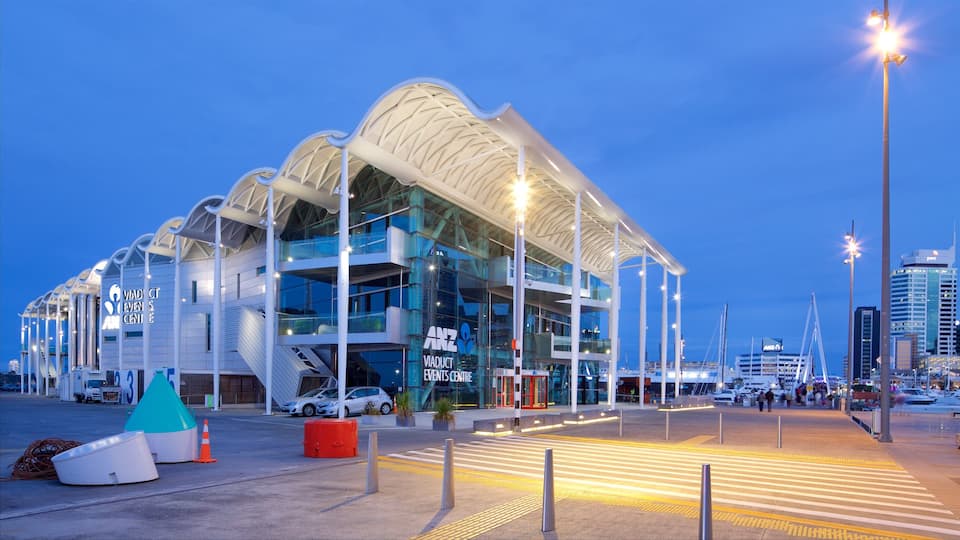 Auckland featuring night scenes and street scenes
