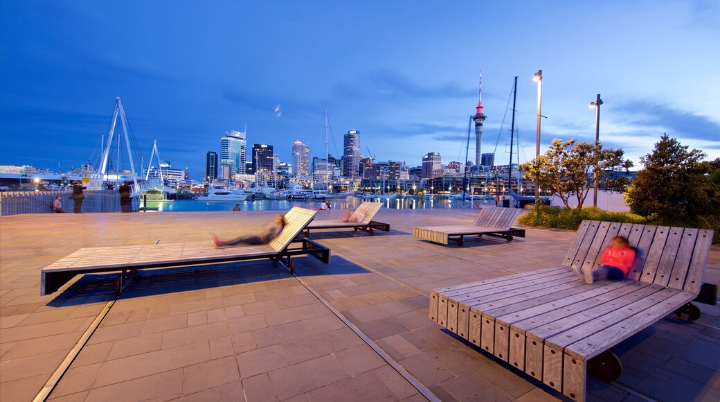 Auckland showing a city, a bay or harbour and night scenes