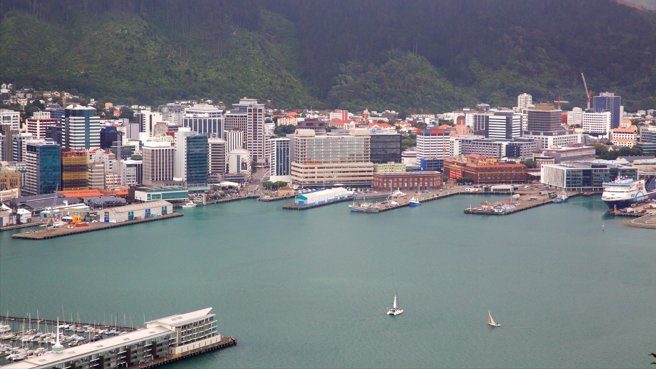 Martinborough, NZ pet friendly holiday Stayz