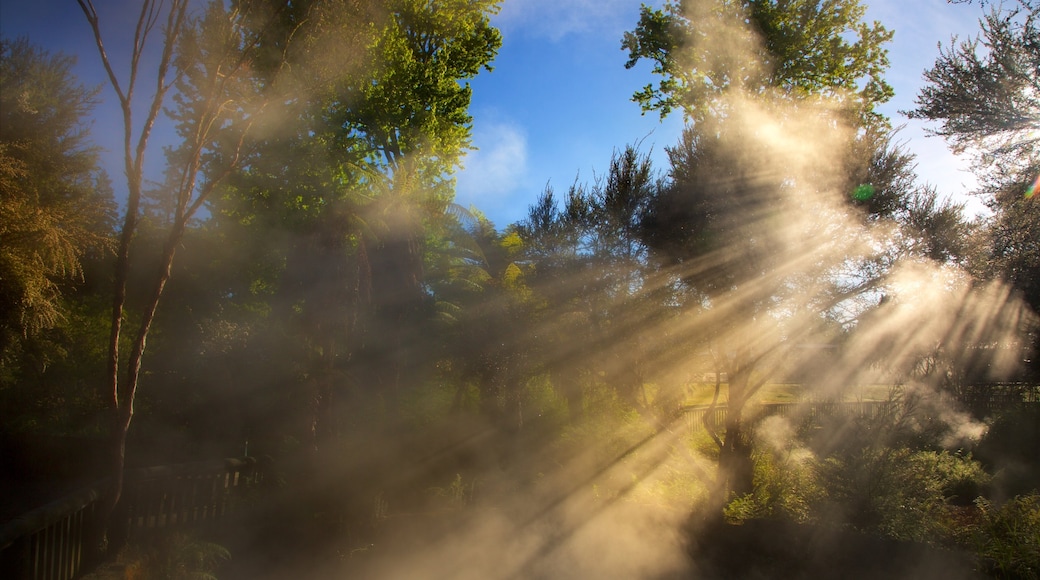 Kuirau Park showing a hot spring, a park and mist or fog