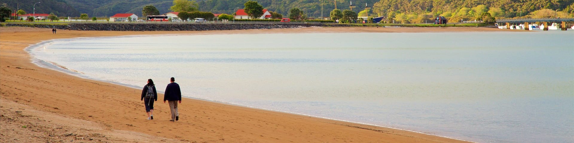 Paihia Beach showing a coastal town, a bay or harbour and a sandy beach