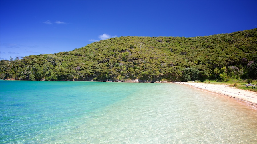 Russell showing a bay or harbour and a beach