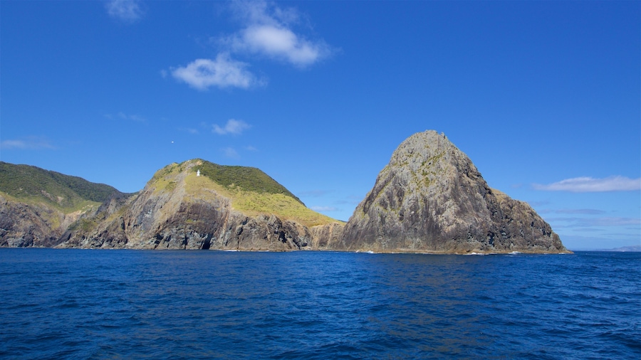 Cape Brett Lighthouse che include baia e porto e costa frastagliata
