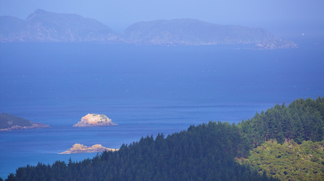 Mount Manaia mostrando bosques y una bahía o un puerto