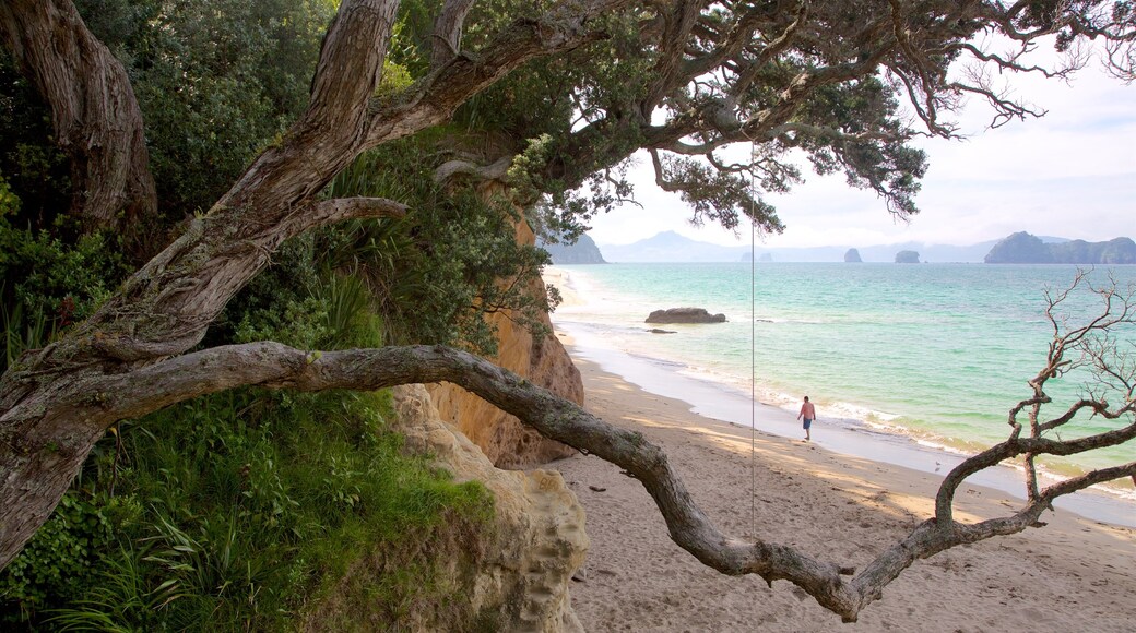 Hahei Beach che include spiaggia sabbiosa e baia e porto